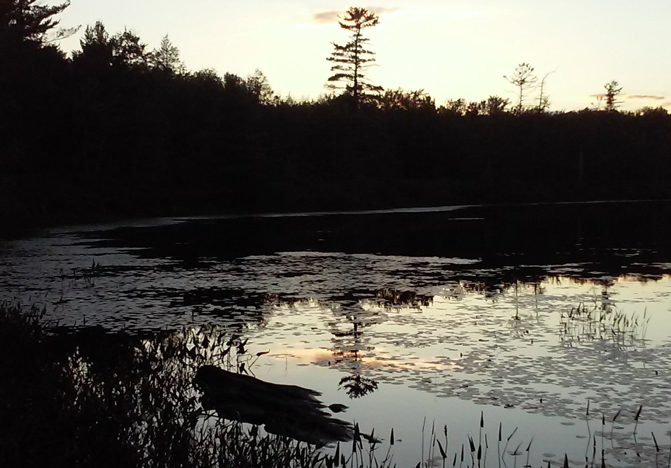 Lacawac Sanctuary photo