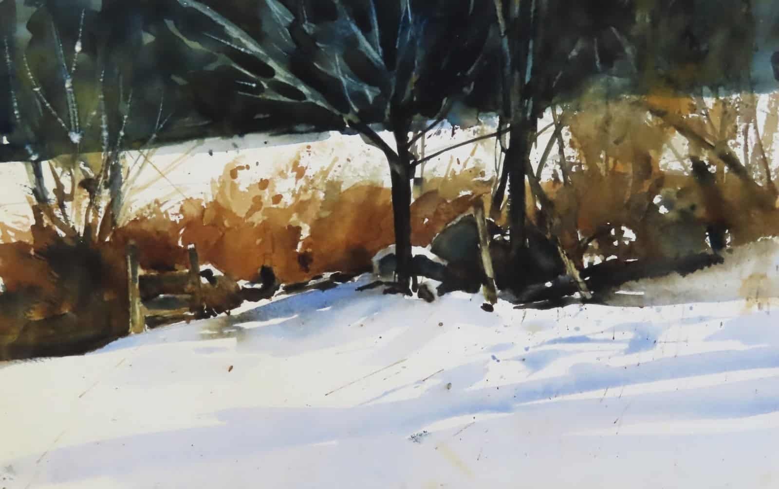 Bright sun on snow, with an arrangement of fenceposts, rocks, trees, and brush.