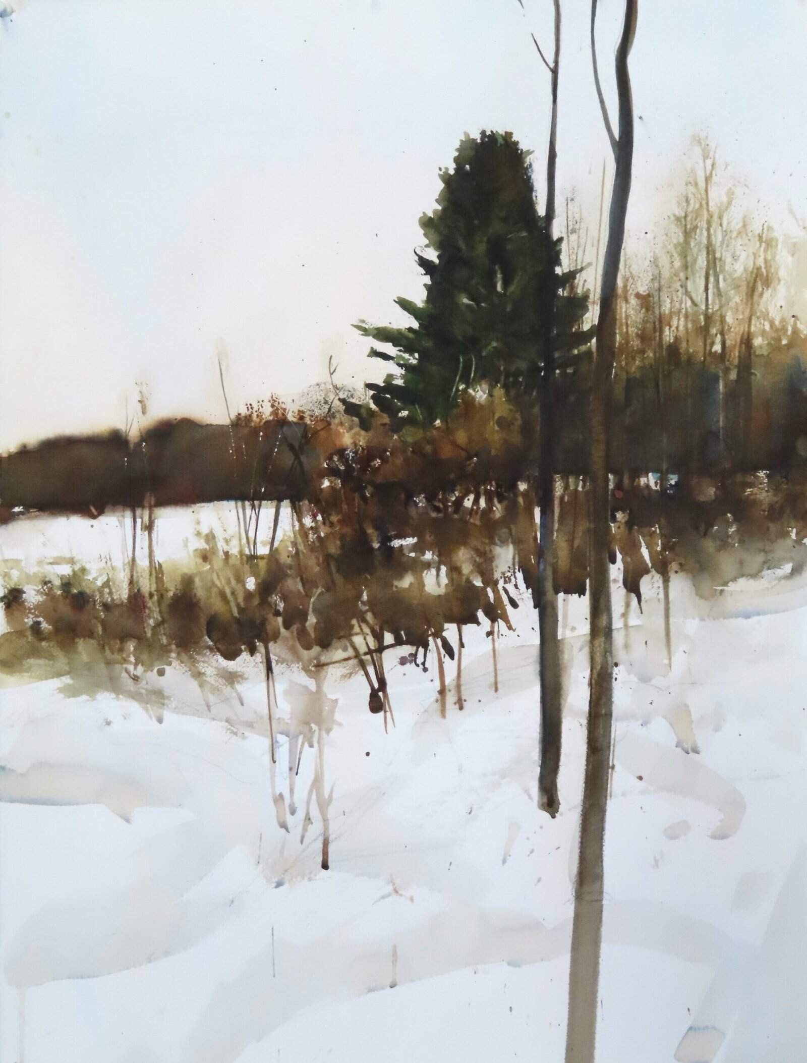 Snowy landscape with leafless trees and bushes, and one tall evergreen tree.